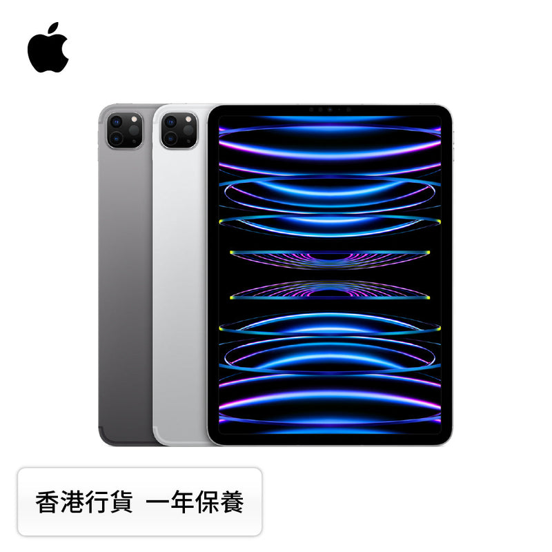 Apple iPad Pro 11" 2022  [WIFI+流動網絡]